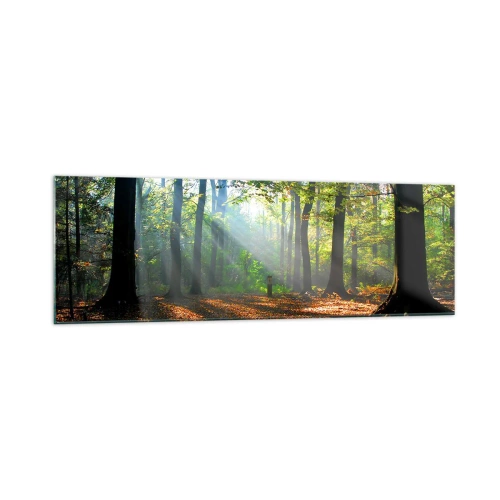 Cuadro sobre vidrio - Impresiones sobre Vidrio - Un claro del bosque iluminado por los rayos del sol. - 160x50cm - Resplandores y sombras - Decoración de pared moderna para salón y dormitorio ARTTOR