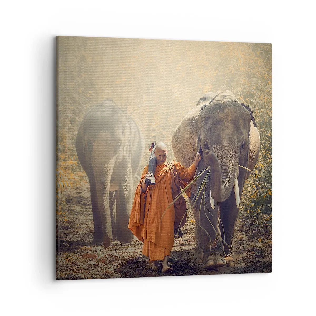 Cuadro sobre lienzo - Impresión de Imagen - Comprensión total - 50x50 cm