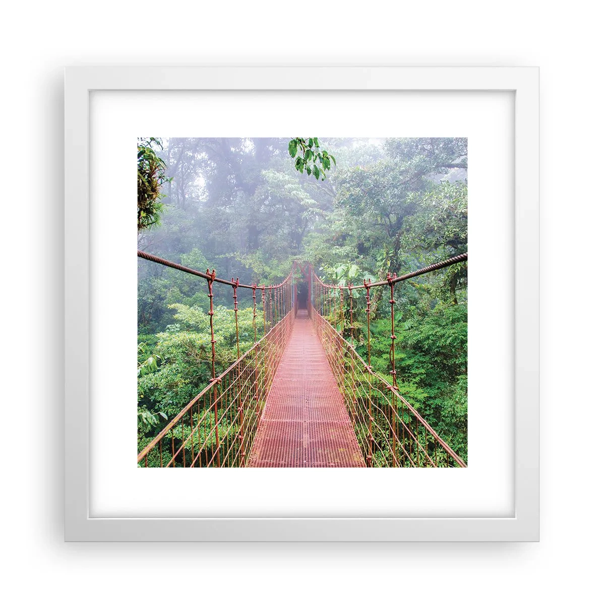 Póster en marco blanco - Suspendido sobre las copas - 30x30 cm