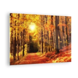 Cuadro sobre vidrio - Impresiones sobre Vidrio - Bosque otoñal bañado por la luz dorada del sol - 70x50cm - Un otoño dorado en una carretera forestal - Decoración de pared moderna para salón y dormitorio ARTTOR