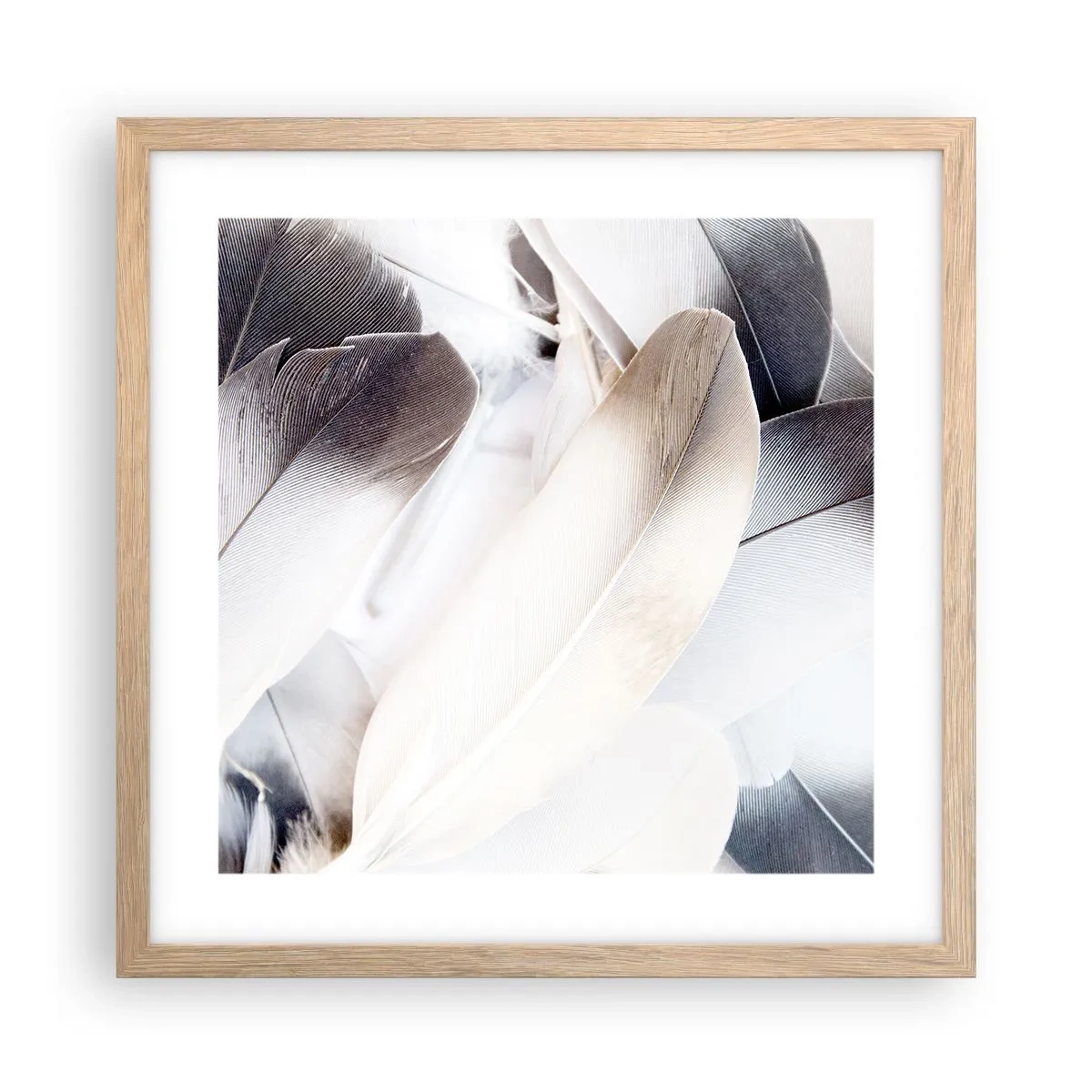 Póster en marco roble claro - Casi angelical - 40x40 cm
