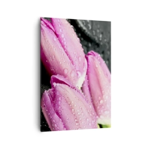 Cuadro sobre lienzo - Impresión de Imagen - Tres tulipanes rosas con gotas de agua sobre un fondo negro. - 70x100cm - Lilas sobre piedra negra - Decoración de pared moderna para salón y dormitorio ARTTOR
