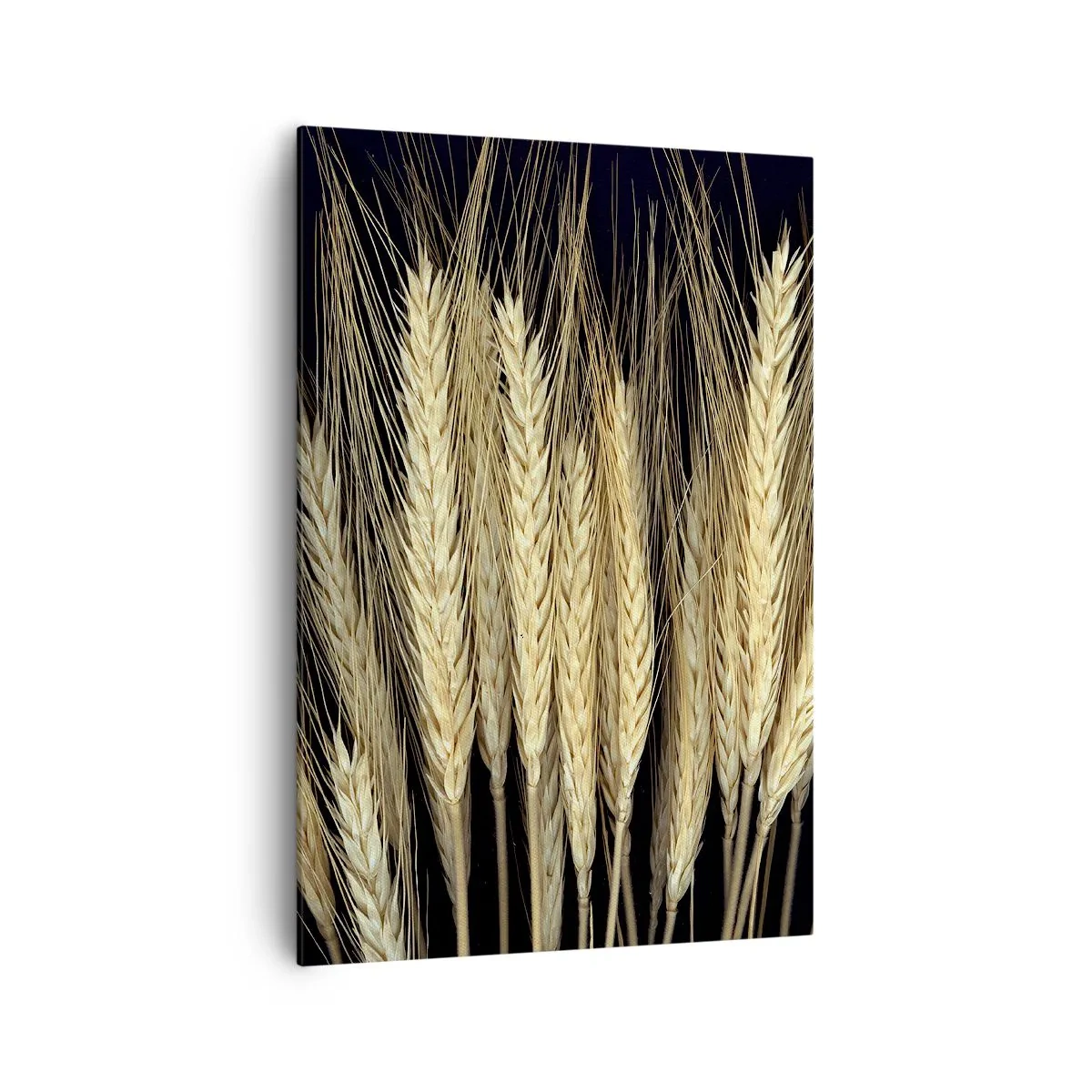 Cuadro sobre lienzo - Impresión de Imagen - Espigas de trigo sobre fondo negro en estilo rústico - 70x100cm - Magia rústica - Decoración de pared moderna para salón y dormitorio ARTTOR
