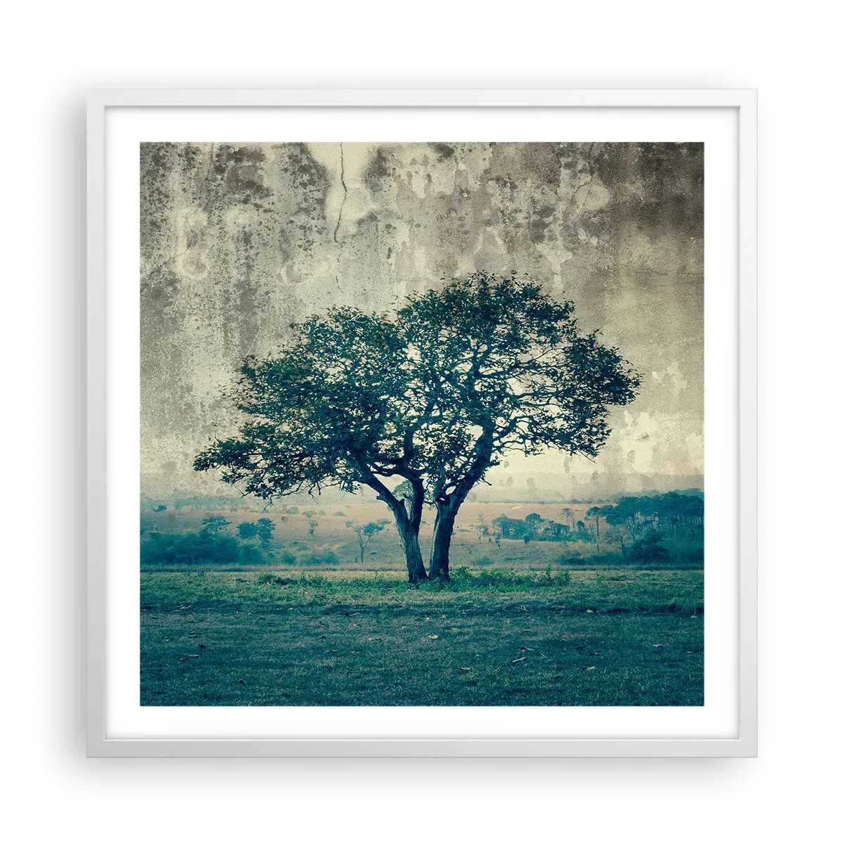 Póster en marco blanco - El manzano - 60x60 cm