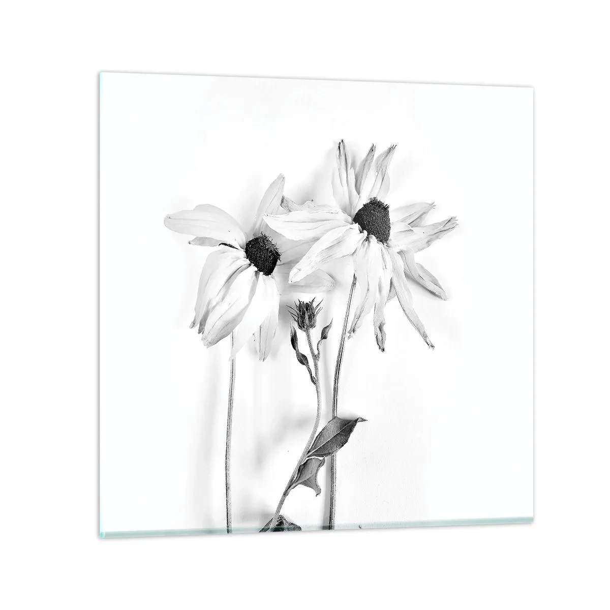 Cuadro sobre vidrio - Impresiones sobre Vidrio - Nadie quiere estar solo - 40x40 cm