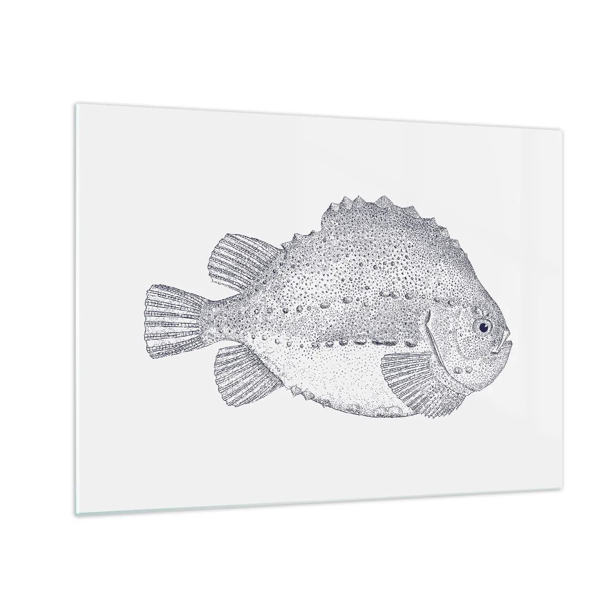 Cuadro sobre vidrio - Impresiones sobre Vidrio - Grabado detallado de un pez sobre un fondo blanco en estilo naturaleza. - 70x50cm - Para el álbum del naturalista - Decoración de pared moderna para salón y dormitorio ARTTOR