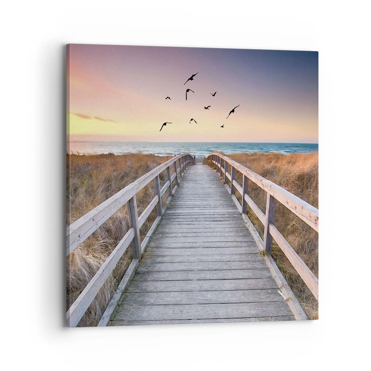 Cuadro sobre lienzo - Impresión de Imagen - Camino a lo desconocido - 70x70 cm