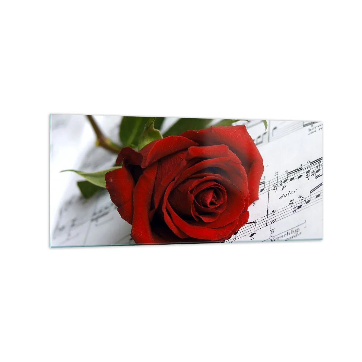 Cuadro sobre vidrio - Impresiones sobre Vidrio - Una rosa roja sobre un fondo de notas musicales sobre papel blanco. - 120x50cm - La música de los sentimientos en escarlata - Decoración de pared moderna para salón y dormitorio ARTTOR