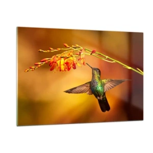 Cuadro sobre vidrio - Impresiones sobre Vidrio - Colibrí junto a flores en un resplandor dorado. - 120x80cm - Mensajero de la luz - Decoración de pared moderna para salón y dormitorio ARTTOR