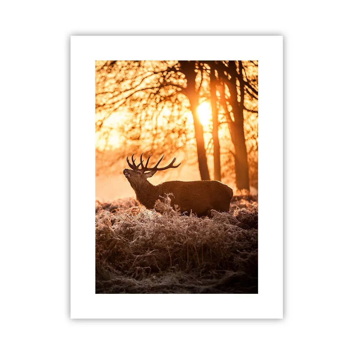 Póster - El sueño de un cazador - 30x40 cm