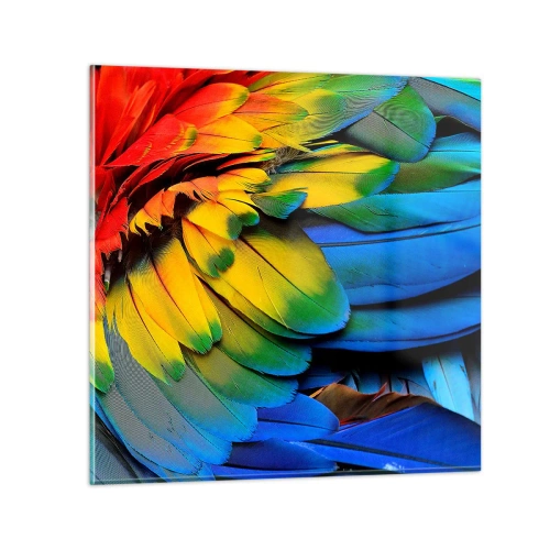 Cuadro sobre vidrio - Impresiones sobre Vidrio - Ave del paraíso - 50x50 cm
