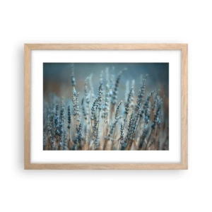 Póster en marco roble claro - Fragante pasto - 40x30 cm