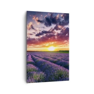 Cuadro sobre lienzo - Impresión de Imagen - Un campo de lavanda al atardecer con un cielo colorido. - 80x120cm - El mundo de la lavanda - Decoración de pared moderna para salón y dormitorio ARTTOR