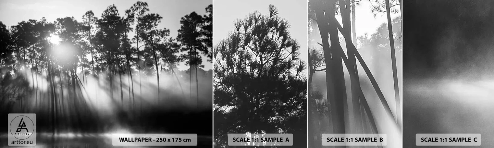 Muestra de fotomural autoadhesivo Deluxe Sticker - Sol imparable - Paisaje, Bosque, Naturaleza - 100x30 cm