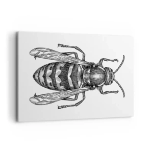 Cuadro sobre lienzo - Impresión de Imagen - Un motivo de avispa de dibujos animados sobre un fondo blanco en un estilo minimalista. - 120x80cm - Desde un planeta de insectos - Decoración de pared moderna para salón y dormitorio ARTTOR