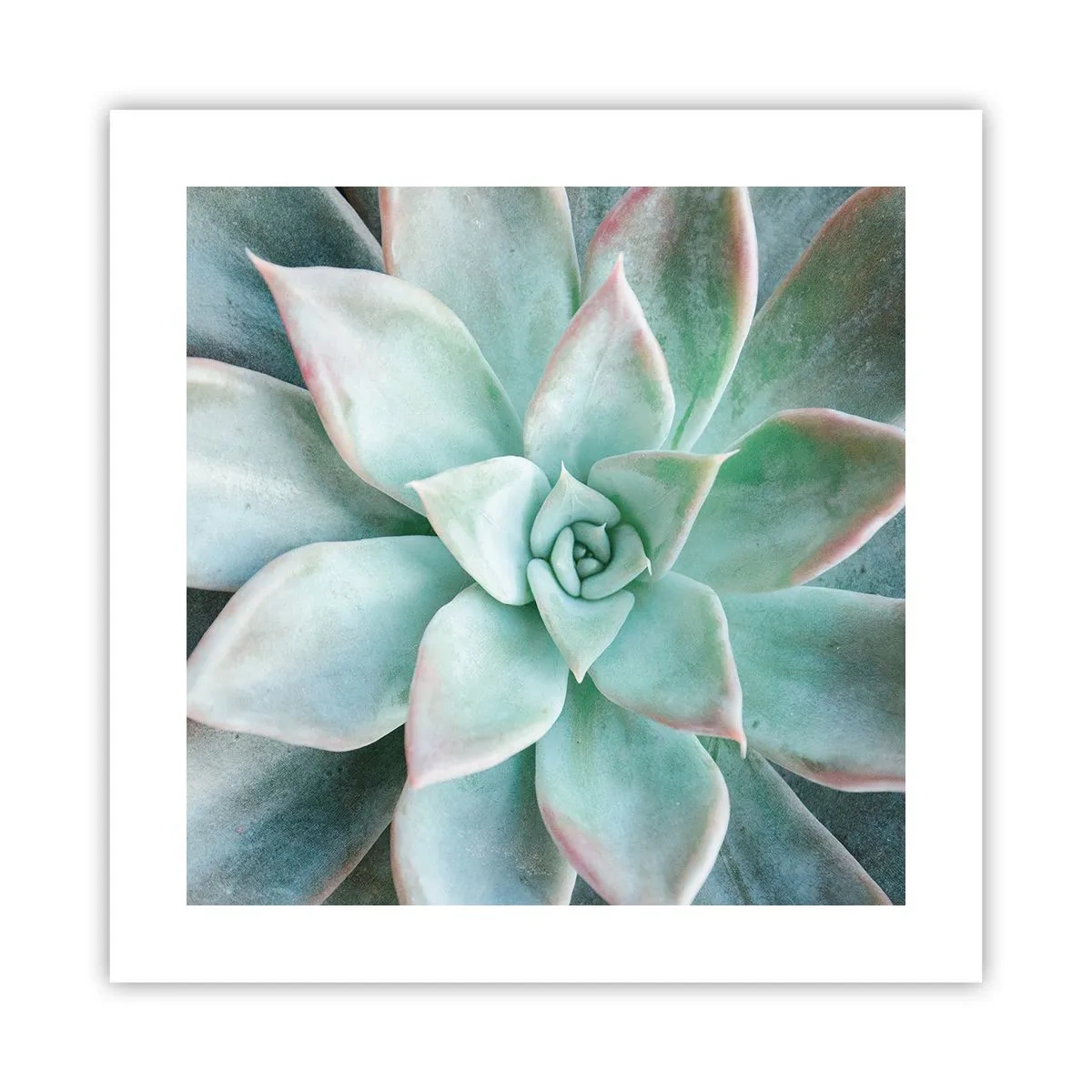 Póster - El corazón del desierto - 40x40 cm