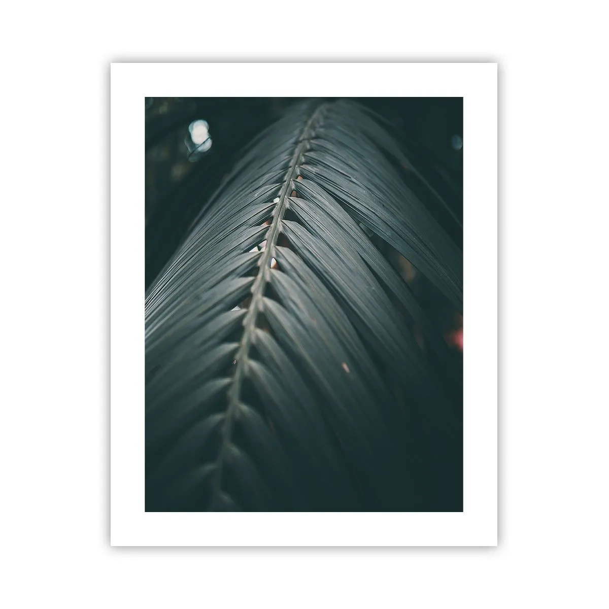 Póster - La precisión de la naturaleza - 40x50 cm