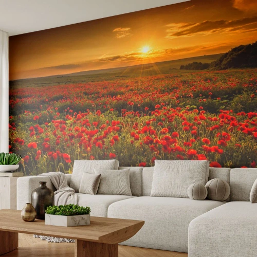 Fotomural personalizado Premium Sand - Entre los campos de flores - Paisaje, flores, amapolas