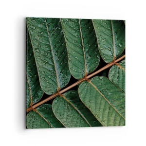Cuadro sobre lienzo - Impresión de Imagen - En un ritmo verde - 70x70 cm