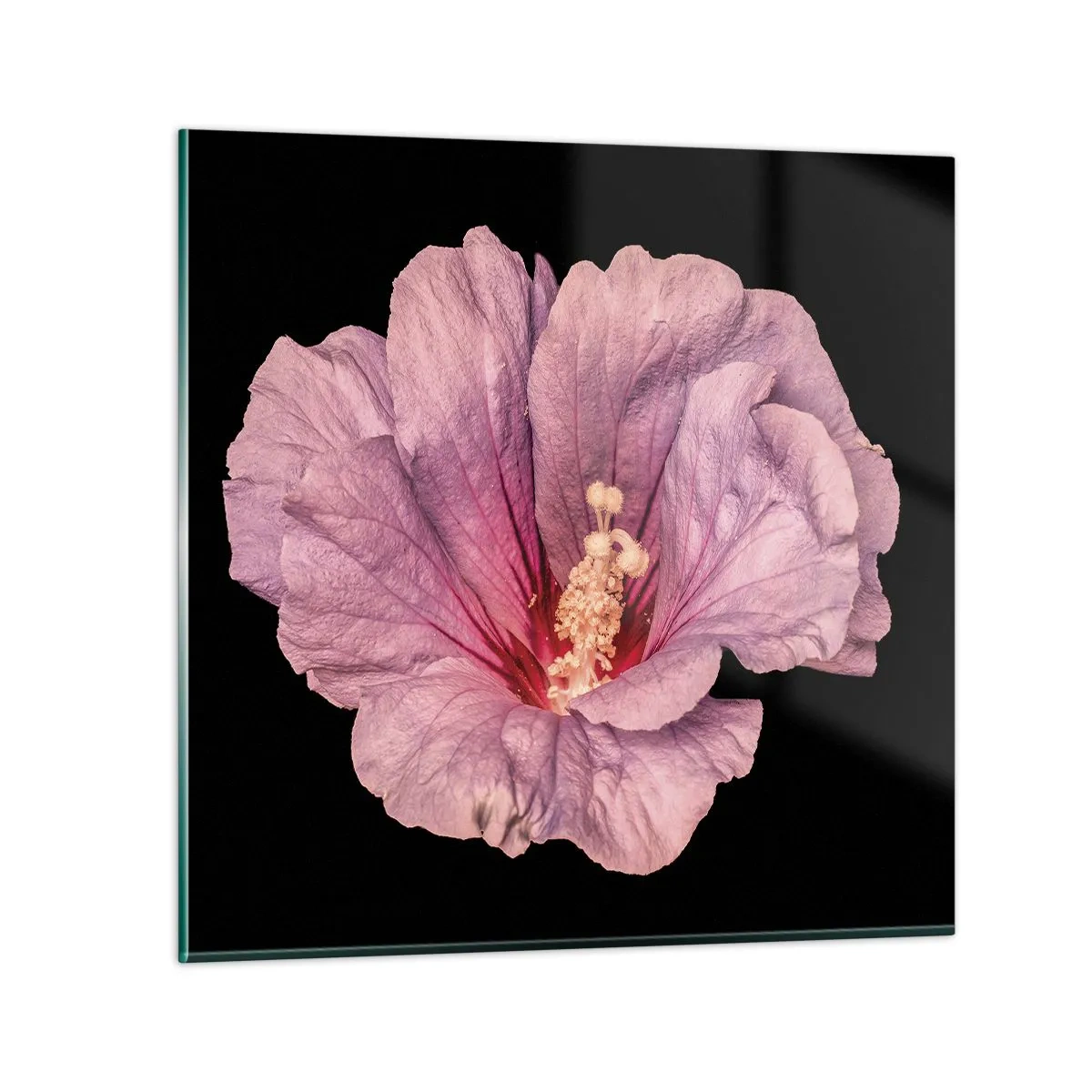 Cuadro sobre vidrio - Impresiones sobre Vidrio - Directo al corazón - 30x30 cm