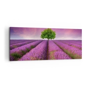 Cuadro sobre lienzo - Impresión de Imagen - Un campo de lavanda con un árbol solitario y un cielo púrpura. - 120x50cm - En los campos de lavanda - Decoración de pared moderna para salón y dormitorio ARTTOR