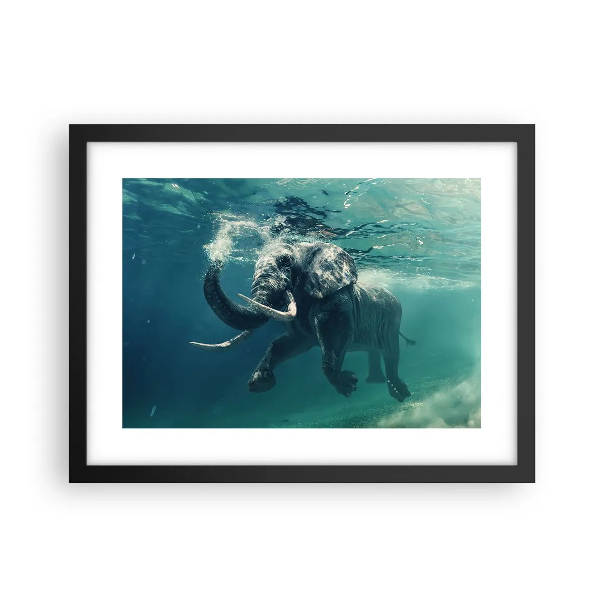 Póster en marco negro - A todos nos gusta nadar - 40x30 cm