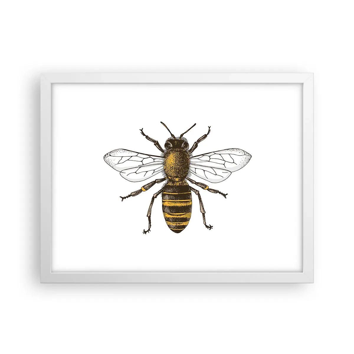 Póster en marco blanco - Bondad natural - 40x30 cm