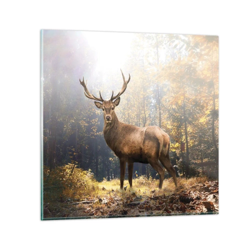 Cuadro sobre vidrio - Impresiones sobre Vidrio - Con toda la majestuosidad - 30x30 cm