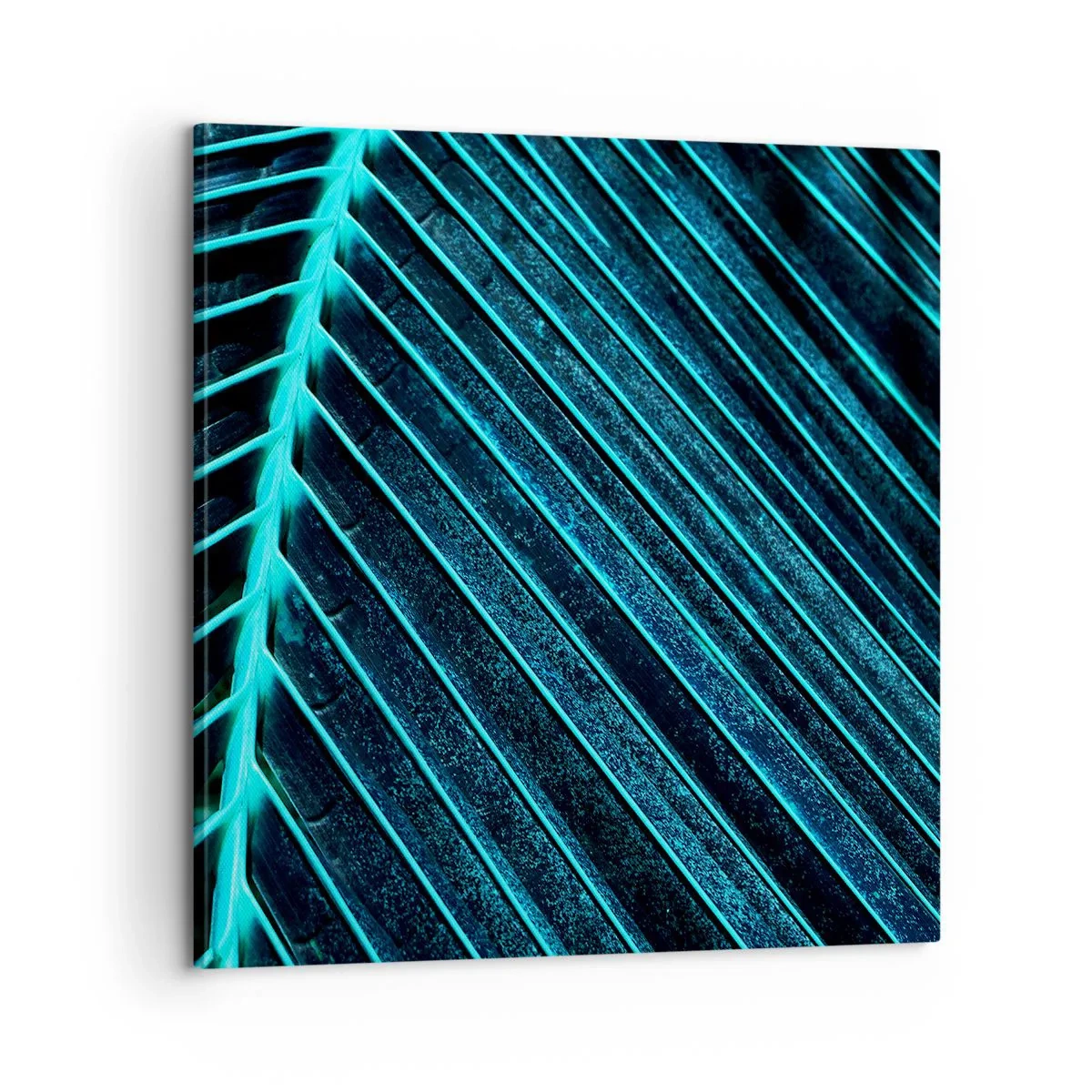 Cuadro sobre lienzo - Impresión de Imagen - La textura del verde - 60x60 cm