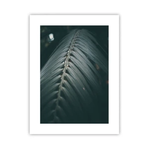 Póster - La precisión de la naturaleza - 30x40 cm