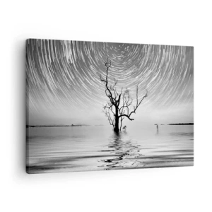 Cuadro sobre lienzo - Impresión de Imagen - Un árbol en el agua bajo un cielo nocturno con estrellas en movimiento. - 70x50cm - Una sinfonía de la naturaleza - Decoración de pared moderna para salón y dormitorio ARTTOR