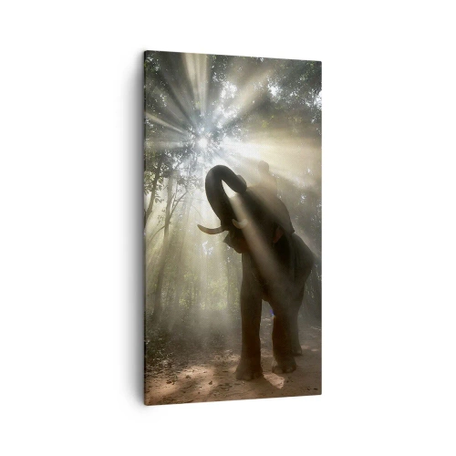 Cuadro sobre lienzo - Impresión de Imagen - Bajo una estrella de la suerte - 45x80 cm