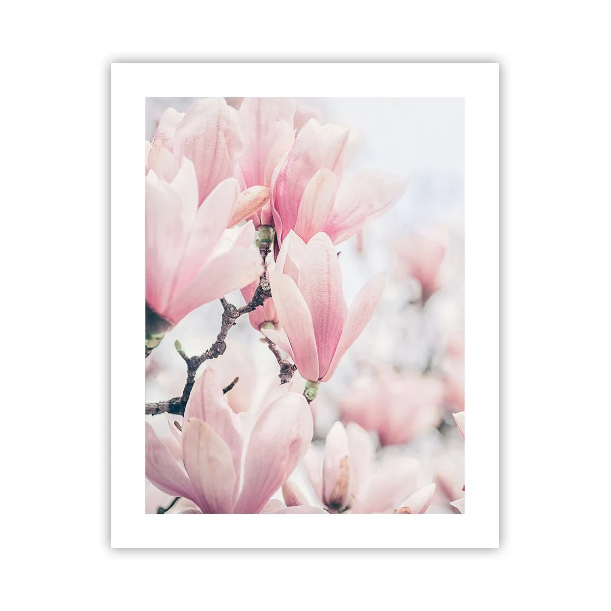 Póster - La perfección de la sutileza - 40x50 cm