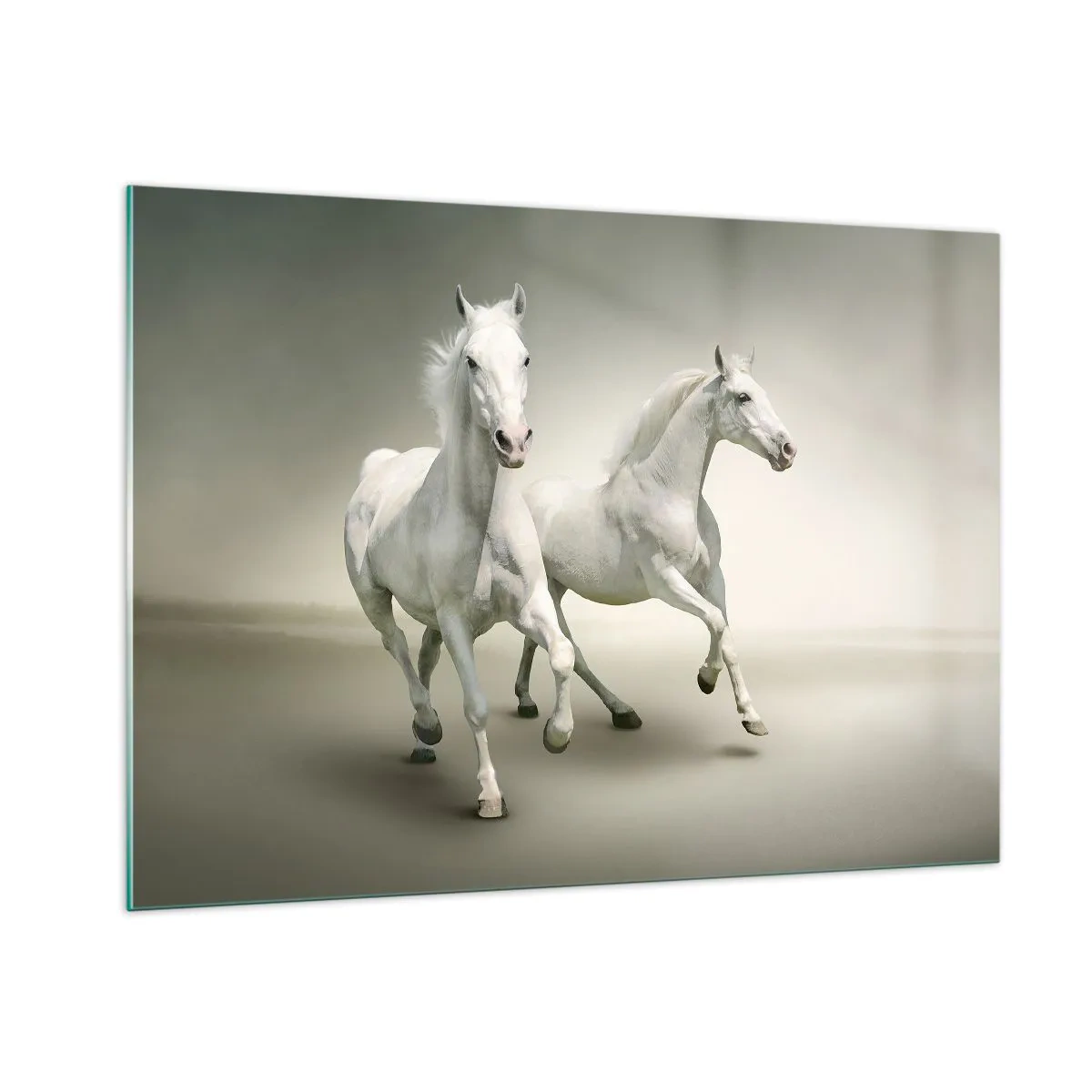Cuadro sobre vidrio - Impresiones sobre Vidrio - Dos caballos blancos corriendo sobre un fondo claro. - 100x70cm - ¡Poder blanco! - Decoración de pared moderna para salón y dormitorio ARTTOR