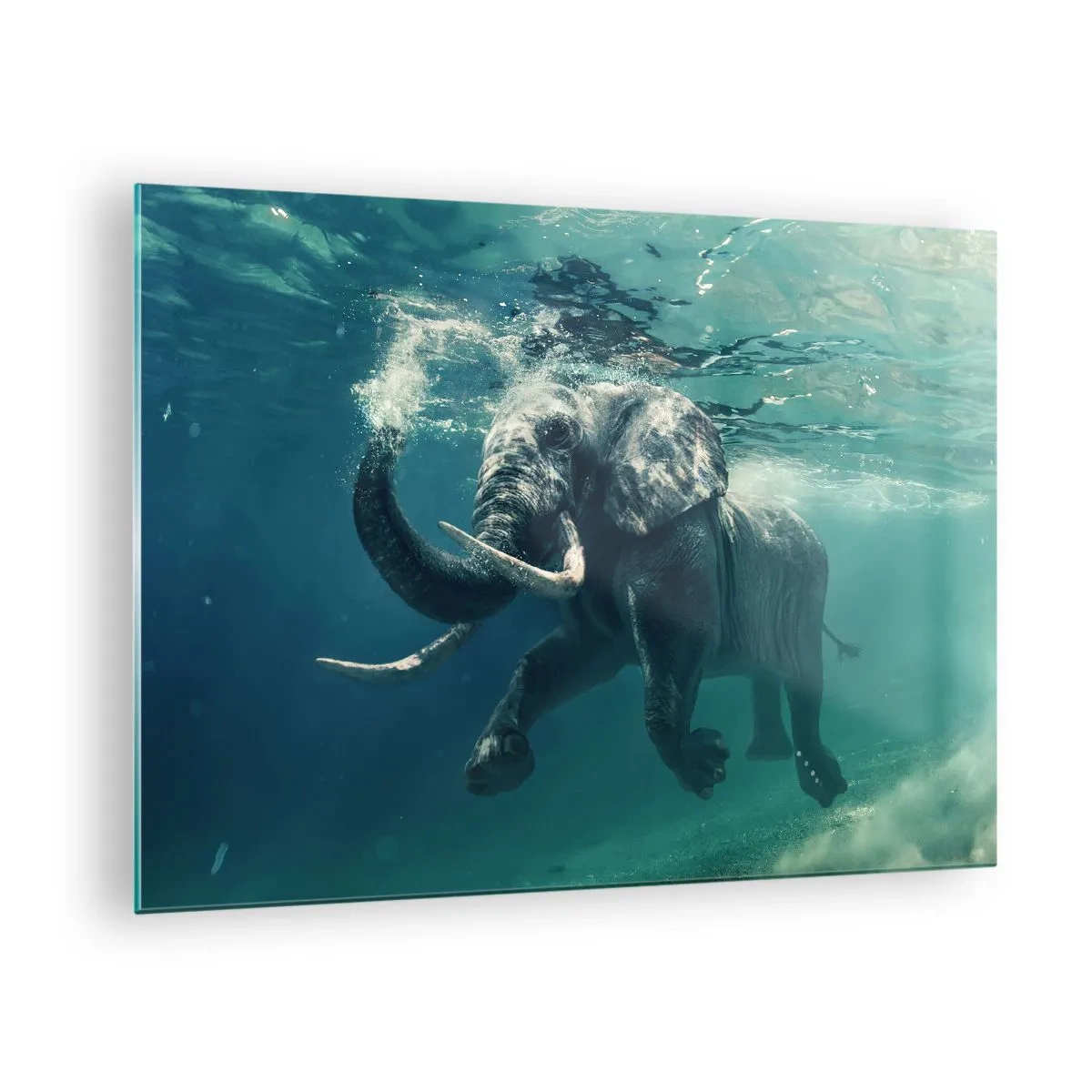 Cuadro sobre vidrio - Impresiones sobre Vidrio - Un elefante nadando bajo el agua en el océano azul. - 70x50cm - A todos nos gusta nadar - Decoración de pared moderna para salón y dormitorio ARTTOR