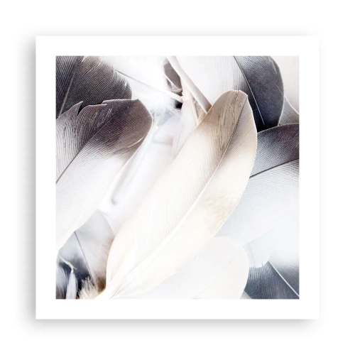 Póster - Casi angelical - 50x50 cm