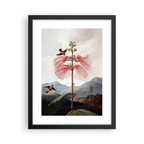 Póster en marco negro - En un paraíso tropical - 30x40 cm