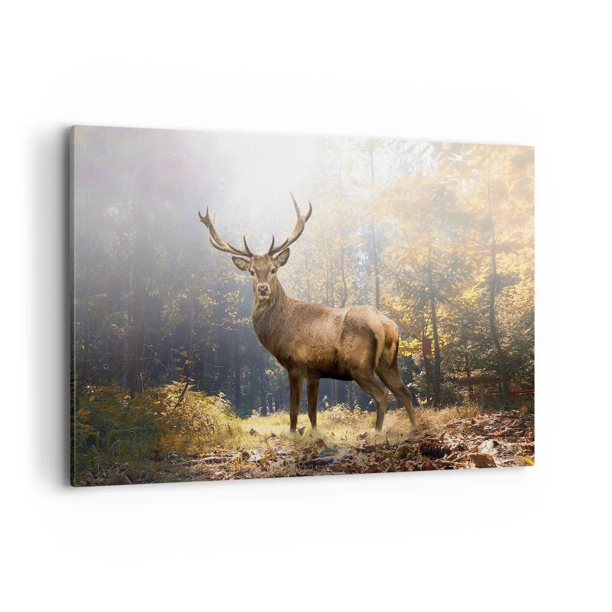 Cuadro sobre lienzo - Impresión de Imagen - Ciervos en el bosque otoñal con rayos de sol. - 120x80cm - Con toda la majestuosidad - Decoración de pared moderna para salón y dormitorio ARTTOR