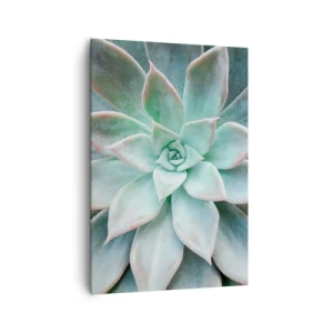 Cuadro sobre lienzo - Impresión de Imagen - Primer plano de una suculenta verde - 70x100cm - El corazón del desierto - Decoración de pared moderna para salón y dormitorio ARTTOR