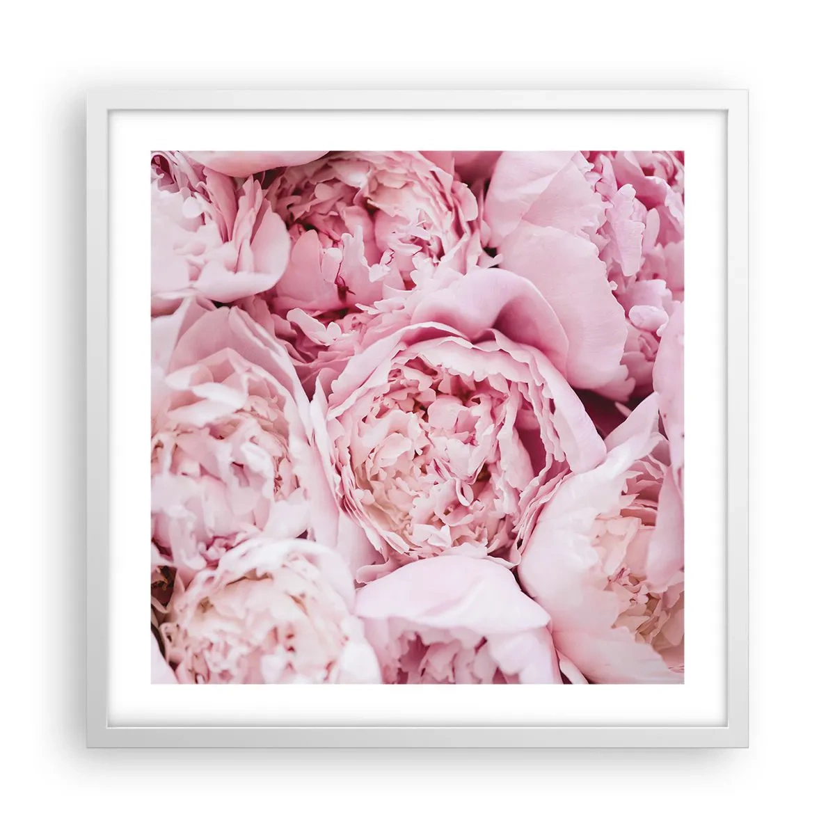 Póster en marco blanco - Cálido y fragante - 50x50 cm