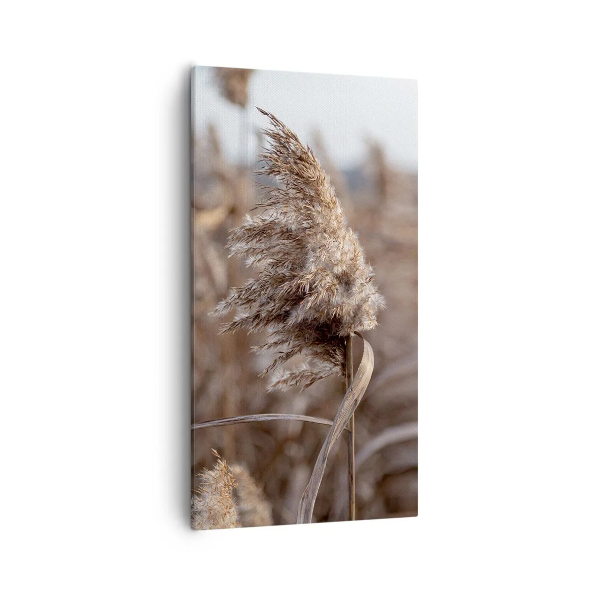 Cuadro sobre lienzo - Impresión de Imagen - Es hora de volar con el viento - 55x100 cm