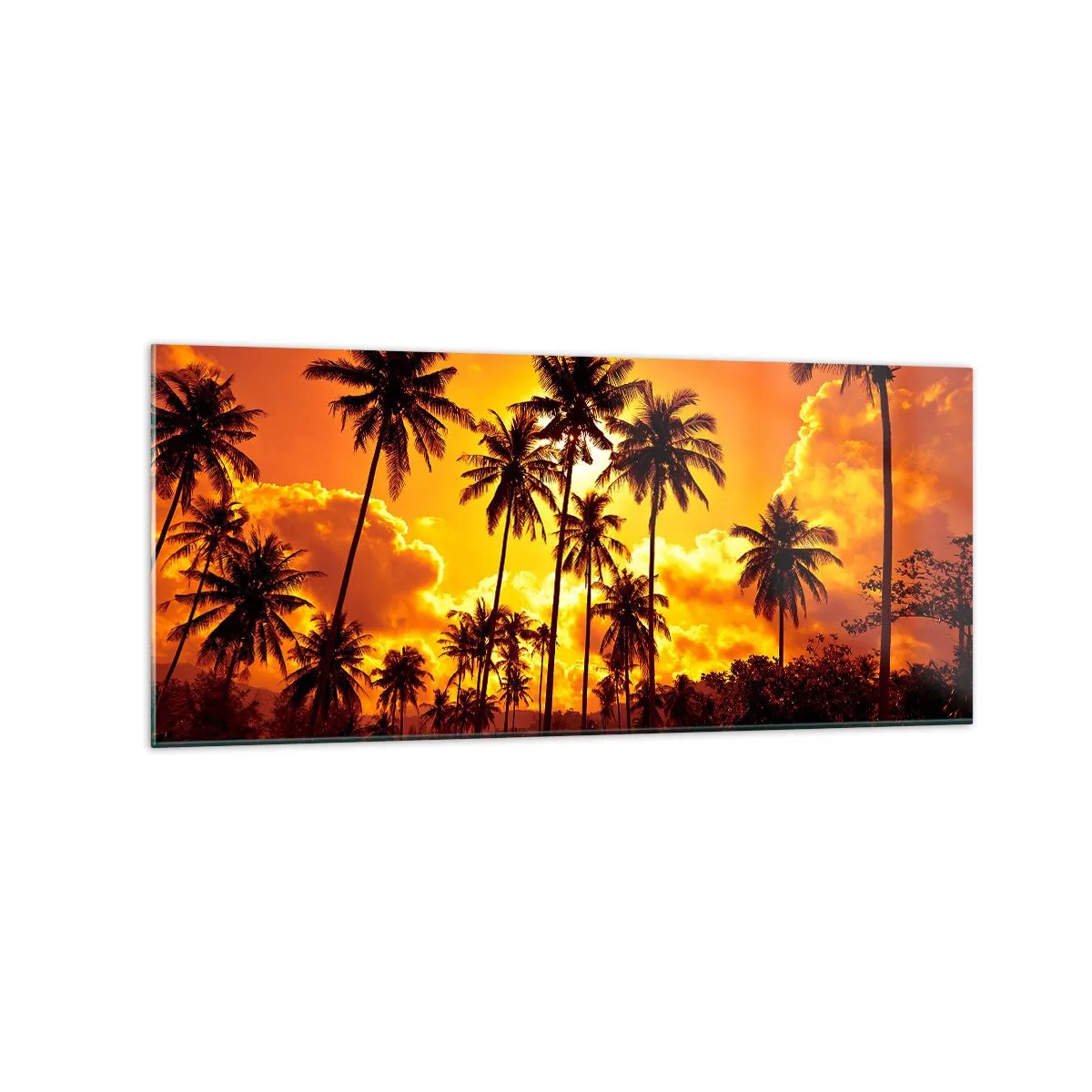 Cuadro sobre vidrio - Impresiones sobre Vidrio - Palmeras contra un cielo dorado durante una puesta de sol tropical - 120x50cm - Las montañas arden, los bosques arden - Decoración de pared moderna para salón y dormitorio ARTTOR