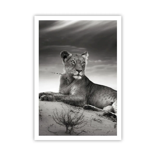 Póster - Descanso de la reina del desierto - 70x100 cm