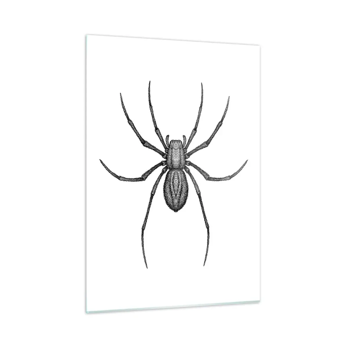 Cuadro sobre vidrio - Impresiones sobre Vidrio - Ilustración de estilo retro de una araña negra sobre un fondo blanco. - 50x70cm - Precisión inquietante - Decoración de pared moderna para salón y dormitorio ARTTOR