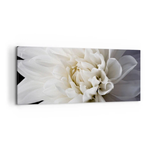 Cuadro sobre lienzo - Impresión de Imagen - Una delicada flor blanca sobre un fondo negro en una elegante composición. - 120x50cm - La novia de la mañana - Decoración de pared moderna para salón y dormitorio ARTTOR