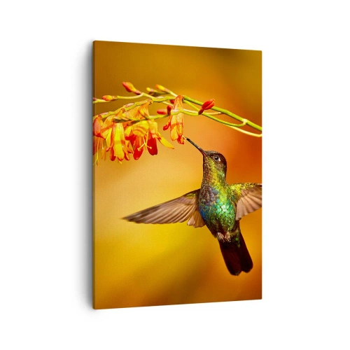 Cuadro sobre lienzo - Impresión de Imagen - Colibrí junto a una flor bajo la cálida luz - 50x70cm - Mensajero de la luz - Decoración de pared moderna para salón y dormitorio ARTTOR