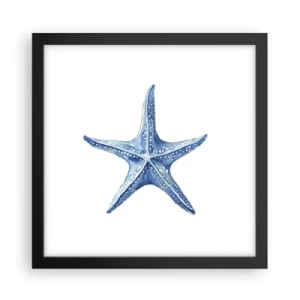 Póster en marco negro - Estrella de mar - 30x30 cm
