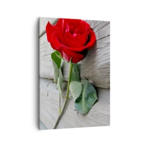Cuadro sobre lienzo - Impresión de Imagen - Rosa roja sobre un fondo de madera - 50x70cm - Estudio en escarlata - Decoración de pared moderna para salón y dormitorio ARTTOR