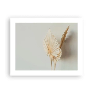 Póster - Armonía y consuelo - 50x40 cm