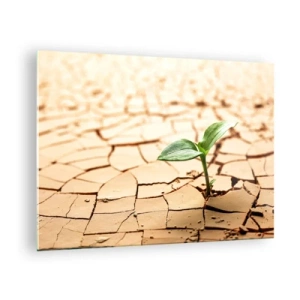 Cuadro sobre vidrio - Impresiones sobre Vidrio - Una planta joven que crece en tierra seca y agrietada. - 70x50cm - El poder indomable de la vida - Decoración de pared moderna para salón y dormitorio ARTTOR